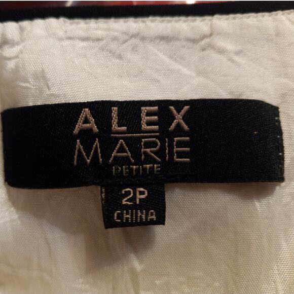 Alex Marie Belted Square Neck Dress 2P Career Minimalist Geometric Office Siren - Picture 6 of 10